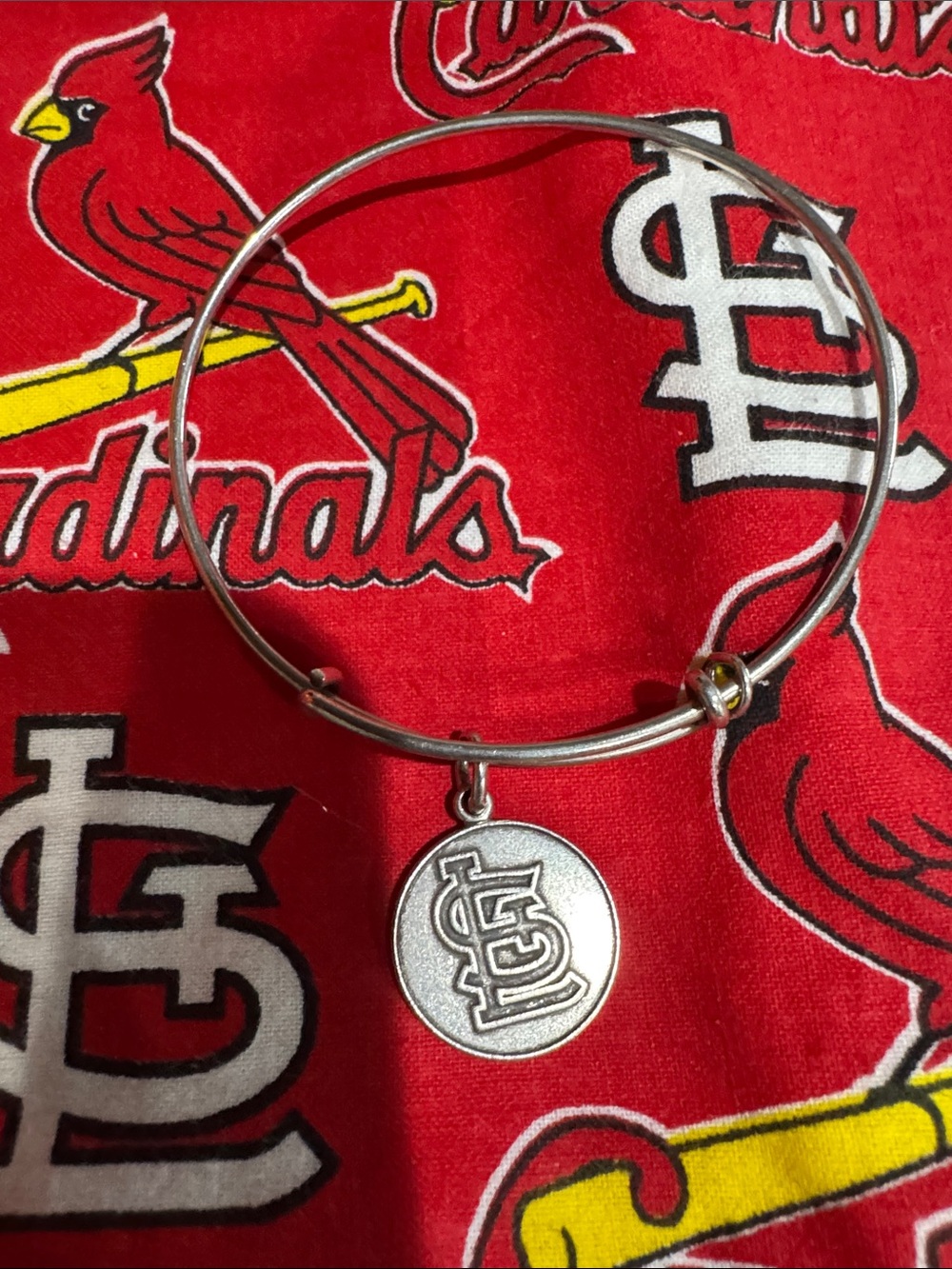 Alex and Ani Silver Charm Bangle with St. Louis Cardinals Logo